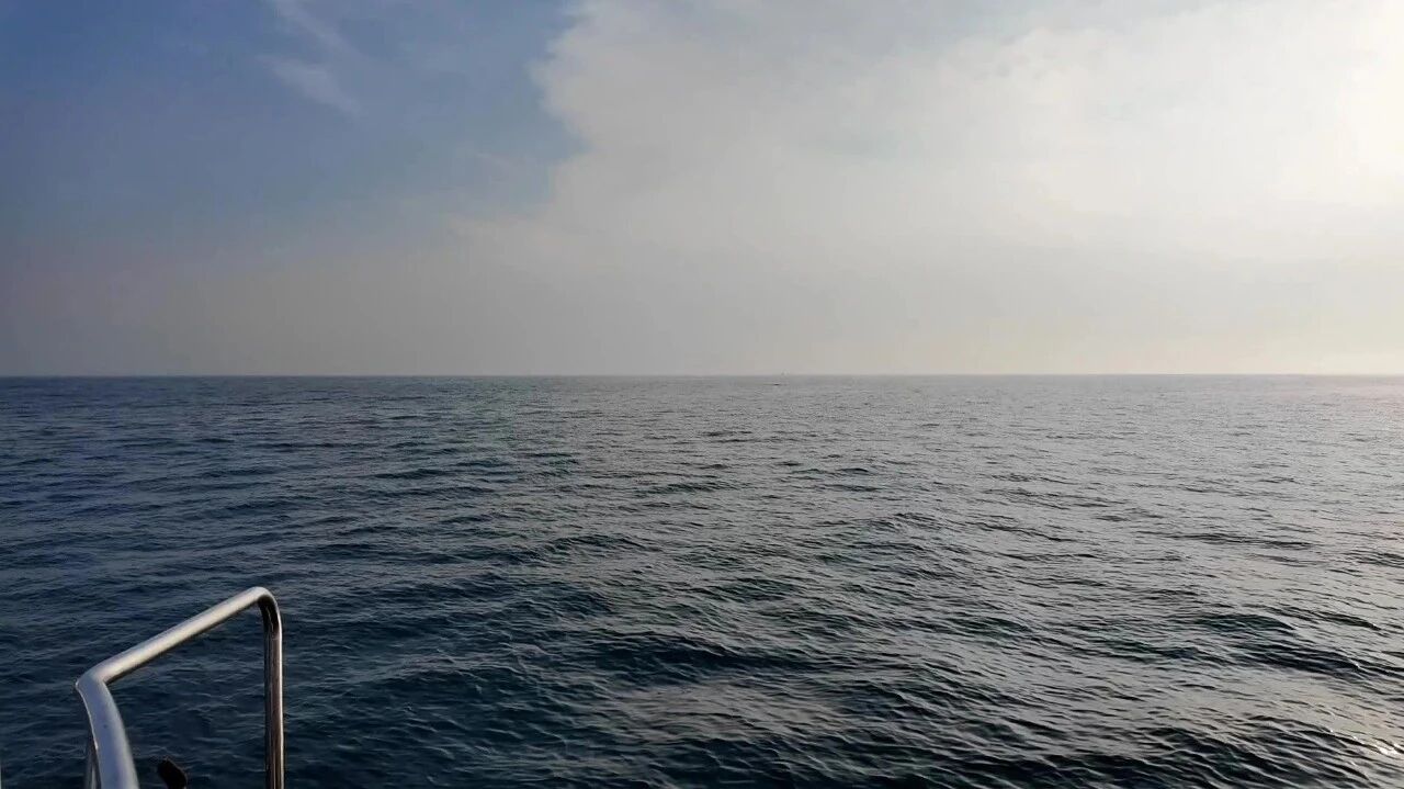 2025-05-25 海上追鲸记